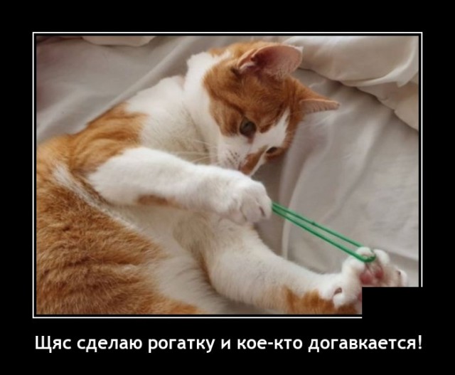 Новые демотиваторы  демотиваторы