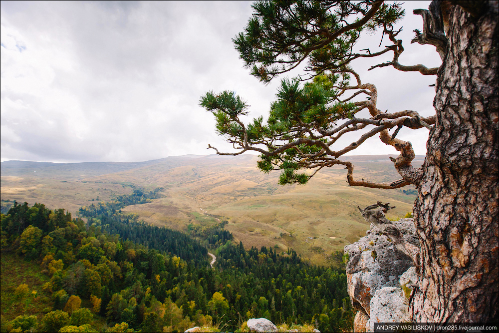Адыгея. Плато Лаго-Наки. Адыгея. Плато Лаго-Наки. автотуризм