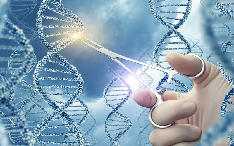 Редактирование генома – технологии, которые бесповоротно изменят мир ученые, CRISPR, этого, можно, только, болезни, сможет, создать, людей, очень, этому, старости, генетически, Денис, технологии, генетиков, будет, просто, Мэдью, редактирования