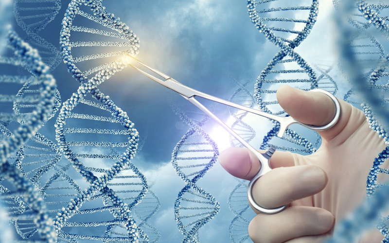 Редактирование генома – технологии, которые бесповоротно изменят мир генетика,ГМО,модификации,наука,старость,эмбрион