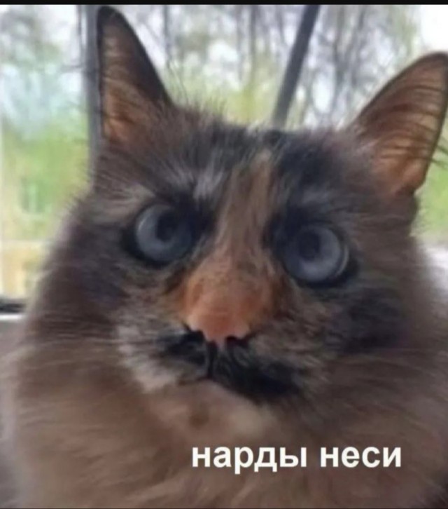 Юмор для тех, кто уже повзрослел и понял, что «баланс» - это когда и холодильник полный, и счёт не в минусе 