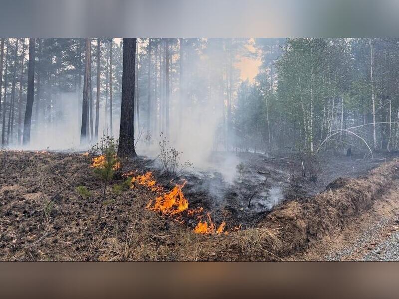 Сухая трава горела в 13 километрах от села Погодаево