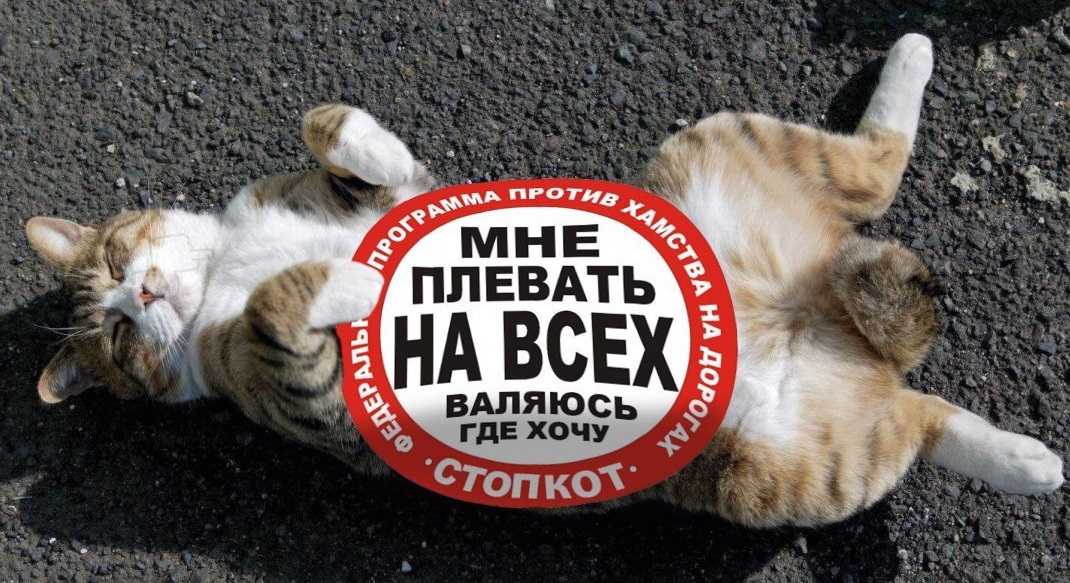 Етиццкий Кот...