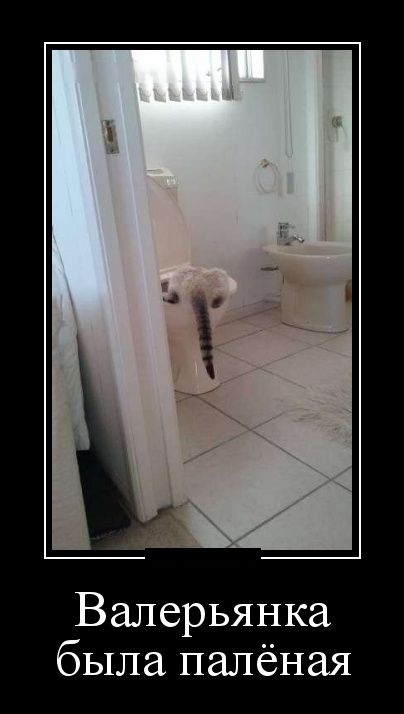 Анекдоты и юмор на славу Анекдоты и юмор на славу