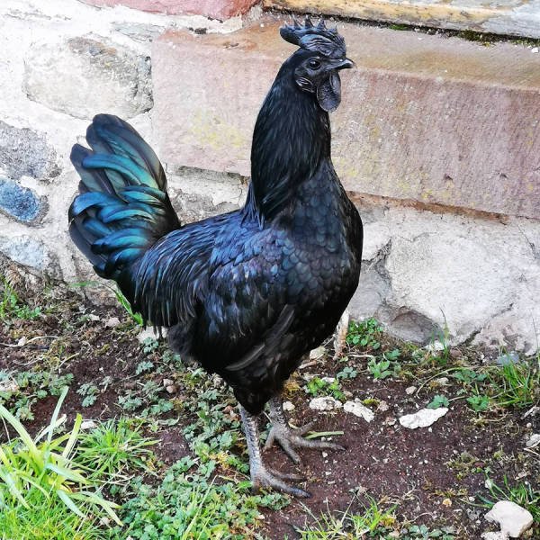 Фотоподборка субботы  Юмор смех шутки анекдоты без границ