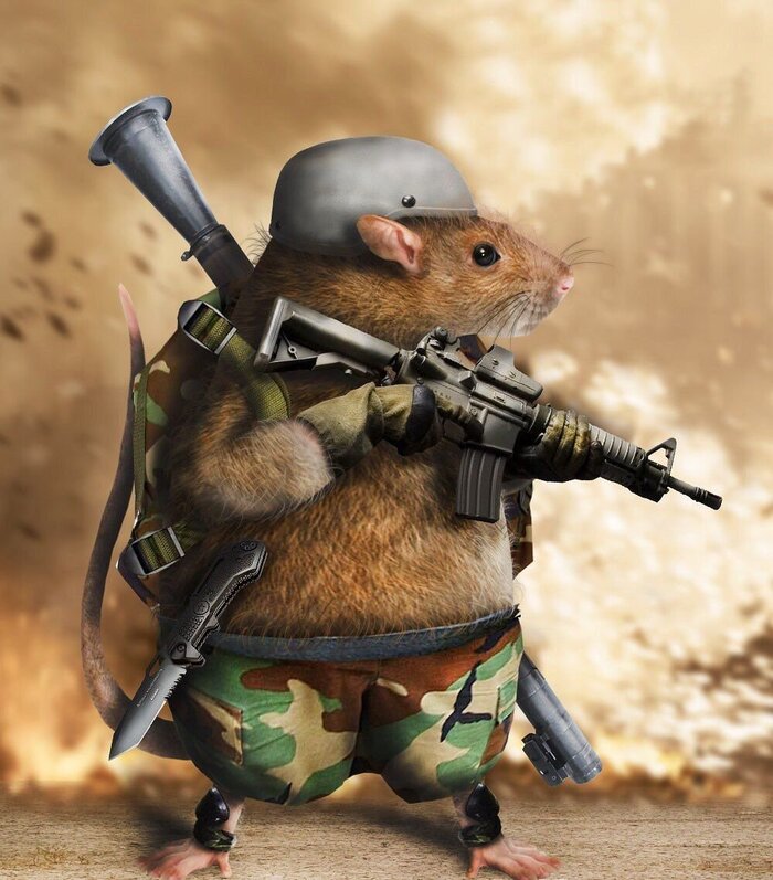 Охота на тигра