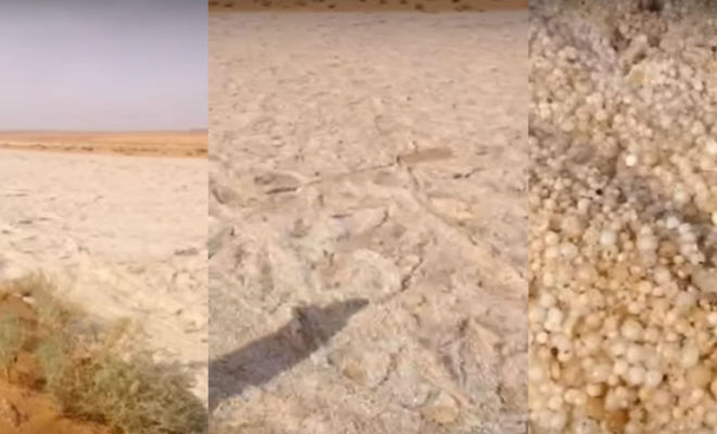 Река песка течет словно вода: явление сняли на камеру Культура