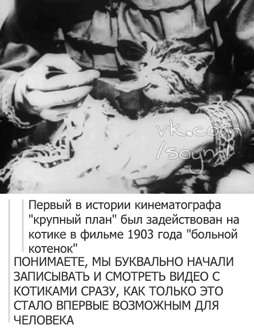 Етиццкий Кот... Етиццкий Кот...