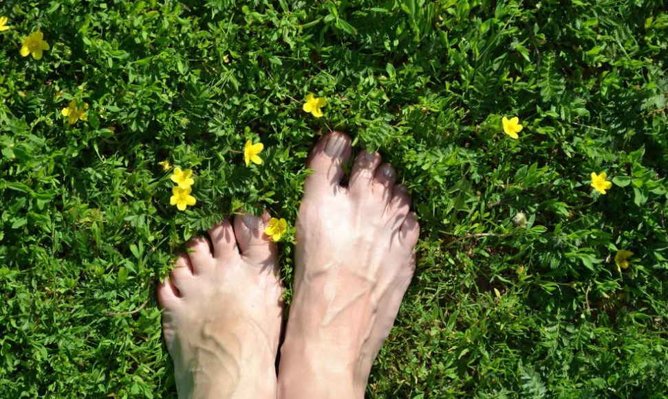 Древние деревенские рецепты лечения утренней росой. Как современные знахари используют росу для исцеления