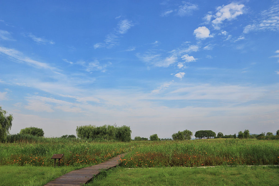 夏 by 半间  on 500px.com