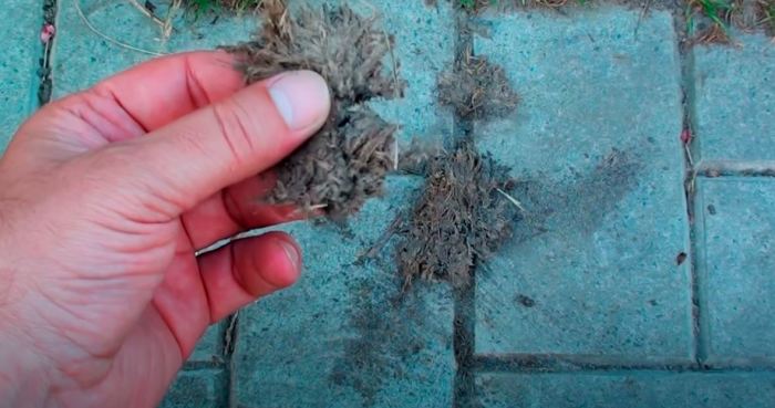 Проверенный копеечный способ, который позволит избавиться от травы между плиткой