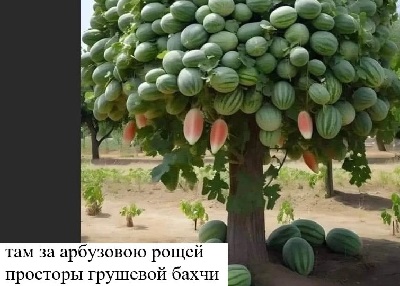 Пачка сигарет за 50 рублей в день - лишает тебя 18250 р. в год. за эти деньги можно поехать на неделю в Прагу. Я вот не курю. Вопрос: какого хера я еще не в Праге? Пачка сигарет за 50 рублей в день - лишает тебя 18250 р. в год. за эти деньги можно поехать на неделю в Прагу. Я вот не курю. Вопрос: какого хера я еще не в Праге? никаких, люблю, сразу, николаю, которой, солнце, историю, много, приветов, возрастам, лапша, глоток, счастья, недостаточно, тебяего, деньги, отдать, любила, дуракя, кромешной