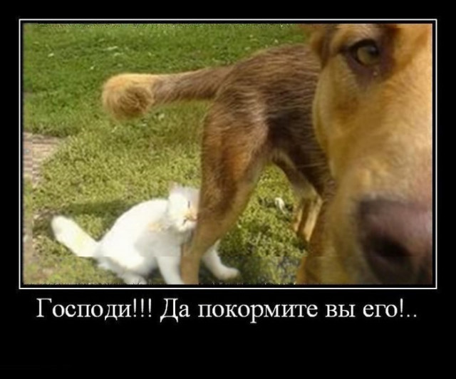 Демотиваторы на любой вкус: «Начинаем утреннюю гимнастику…» Демотиваторы на любой вкус: «Начинаем утреннюю гимнастику…»