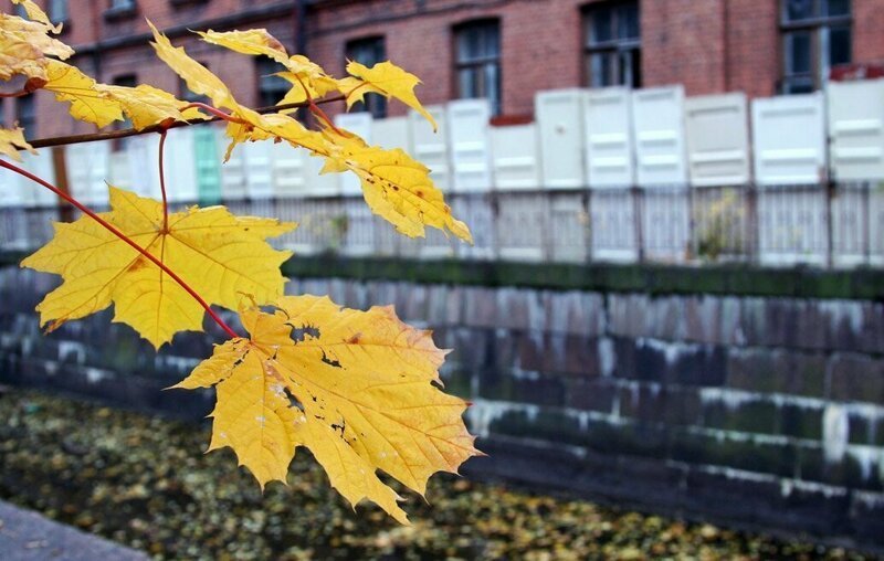 Забытые военные части 