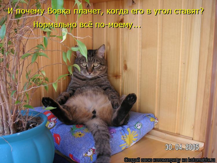 котоматрица (700x524, 394Kb)