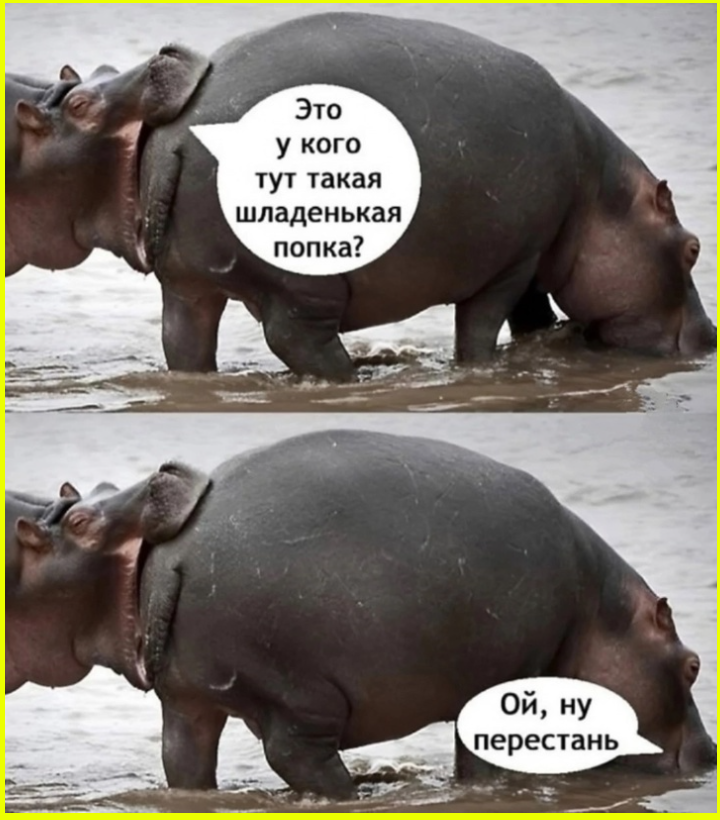 Юмор должен покидать человека, как капитан свой корабль, последним! Юмор должен покидать человека, как капитан свой корабль, последним!