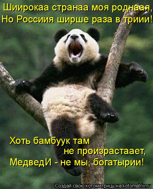 Котоматрица: Шиирокаа странаа моя роднаая, Но Россиия ширше раза в триии! МедведИ - не мы, богатырии! не произрастаает, Хоть бамбуук там