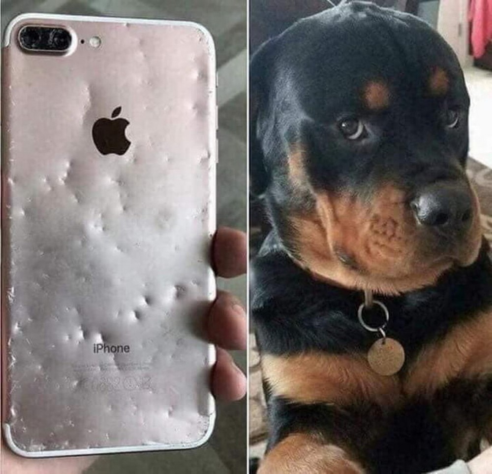 Подборка интересных и веселых картинок 14.07.19 курьезы,приколы,юмор