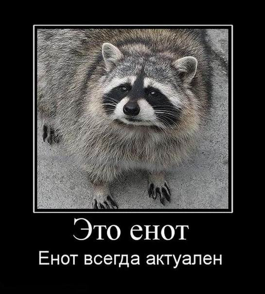 Демотиваторов пост: «Когда бюджет ограничен, а праздника хочется…» 