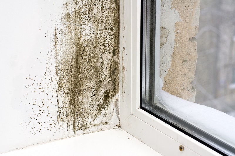 Почему мокнут углы вокруг пластиковых окон вентиляция,полезные советы,ремонт и строительство