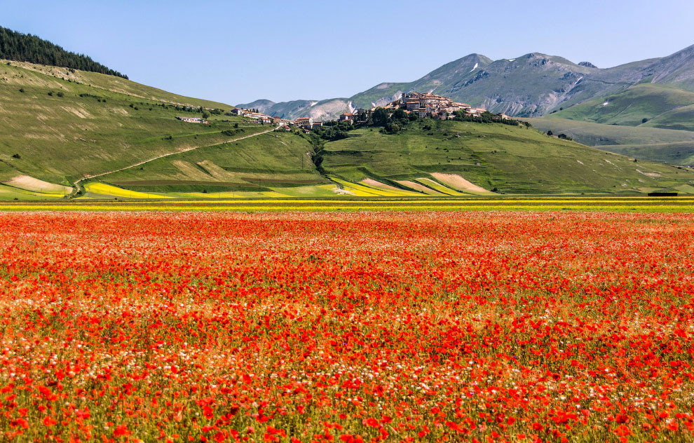 Прогулка по разноцветной долине Италии   Долина, можем, цветов, цветущих, одеялом, лоскутным, красочным, пейзаж, покрывая, чечевицы, цветут, здесь, Каждый, виртуальноПоехали, только, сделать, причинам, итальянской, расцветают, деревни