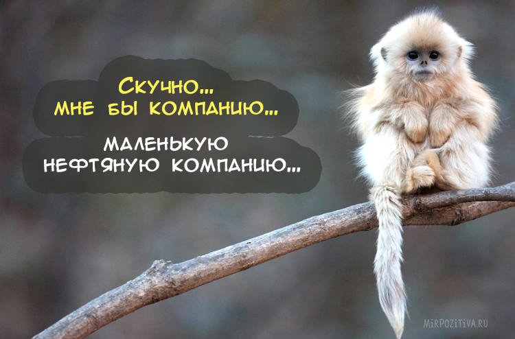 Открытки днем, картинки для поднятия настроения с надписями девушке