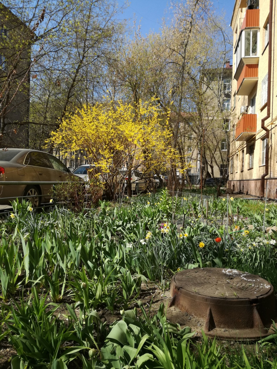 Красота своими руками.