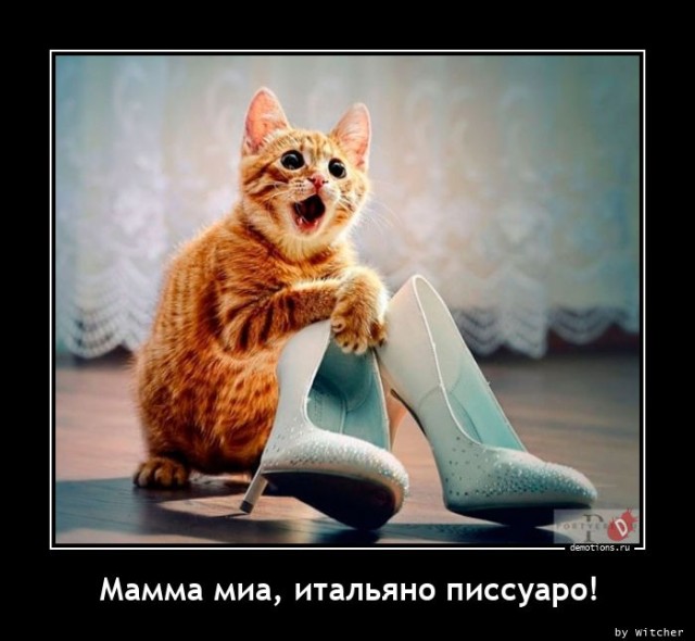 Пятничные демотиваторы: «Вот оно — истинно мужское эскимо!» 