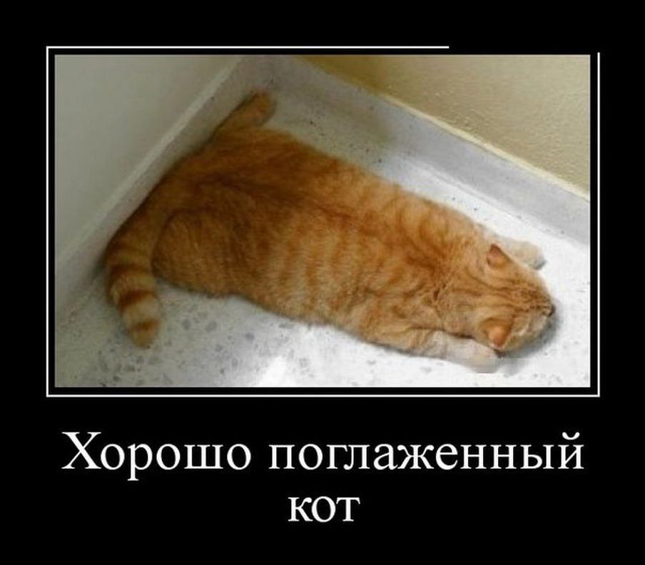 Подборка жизненных демотиваторов со смыслом 