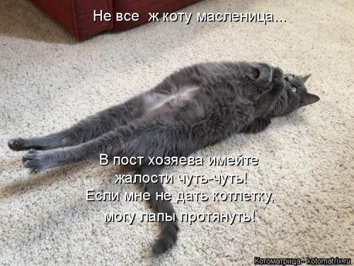 Ð£Ð¼Ð¾Ñ€Ð¸Ñ‚ÐÐÑŒÐ½Ñ‹Ð ÐºÐ¾Ñ‚Ð¾Ð¼ÐÑ‚Ñ€Ð¸Ñ†Ñ‹ Ð´ÐÑ Ð¾Ñ‚ÐÐ¸Ñ‡Ð½Ð¾Ð³Ð¾ Ð½ÐÑÑ‚Ñ€Ð¾ÐÐ½Ð¸Ñ