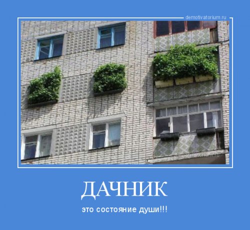 Сборник демотиваторов для хорошего настроения 