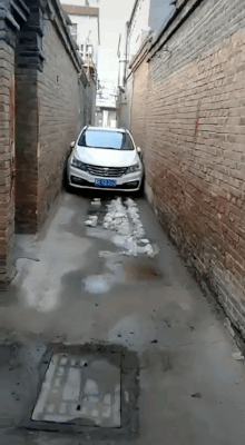 Господа, вы как хотите, а я за руль больше не сяду! смешные картинки