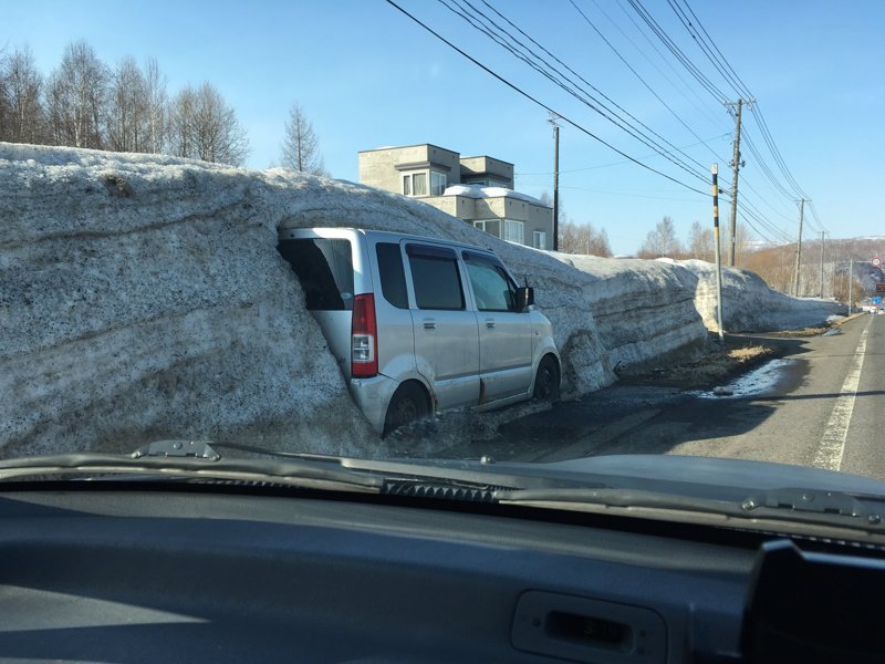 Весна пришла - подснежники вскрываются весна, вскрывает, интересное, подснежник, факты