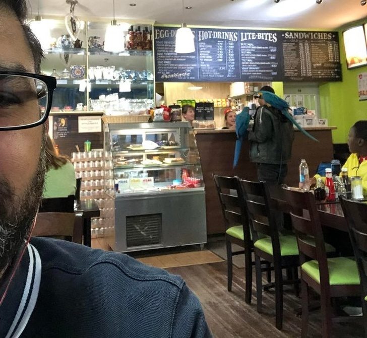 17 персонажей, от вида которых прохожие были под впечатлением 17 персонажей, от вида которых прохожие были под впечатлением