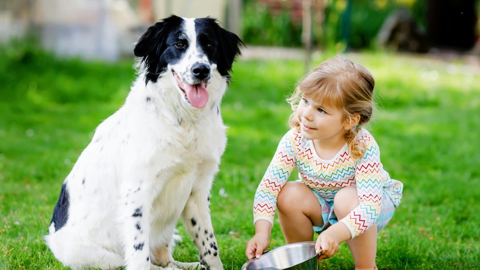 собака ребенок