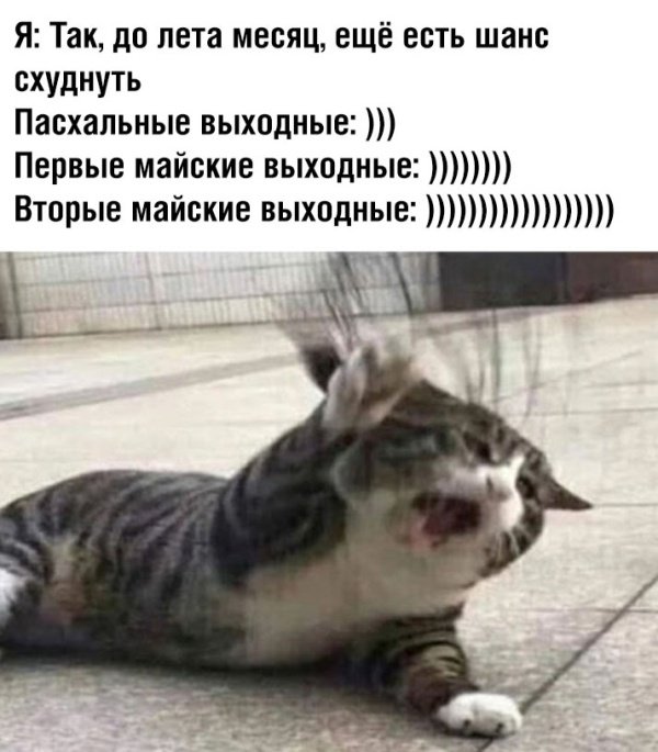 Фотоподборка субботы  Юмор смех шутки анекдоты без границ