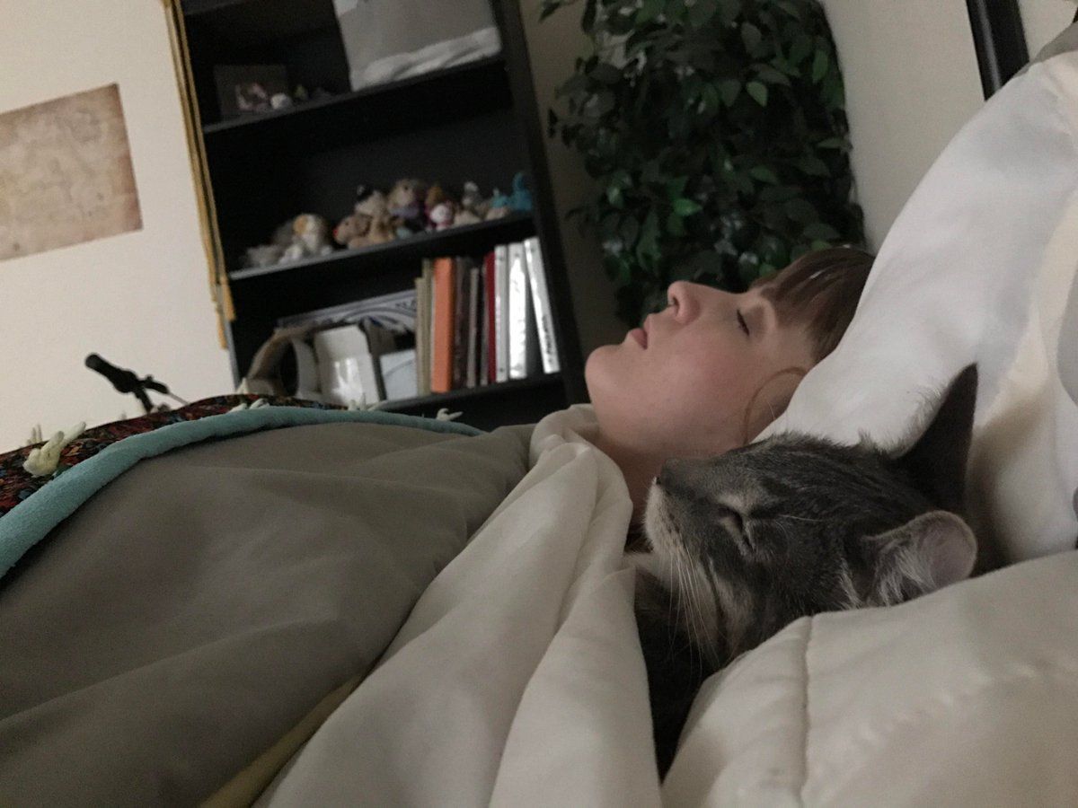 Притворилась спящей видео. Кот притворяется спящим. Кошка жена.