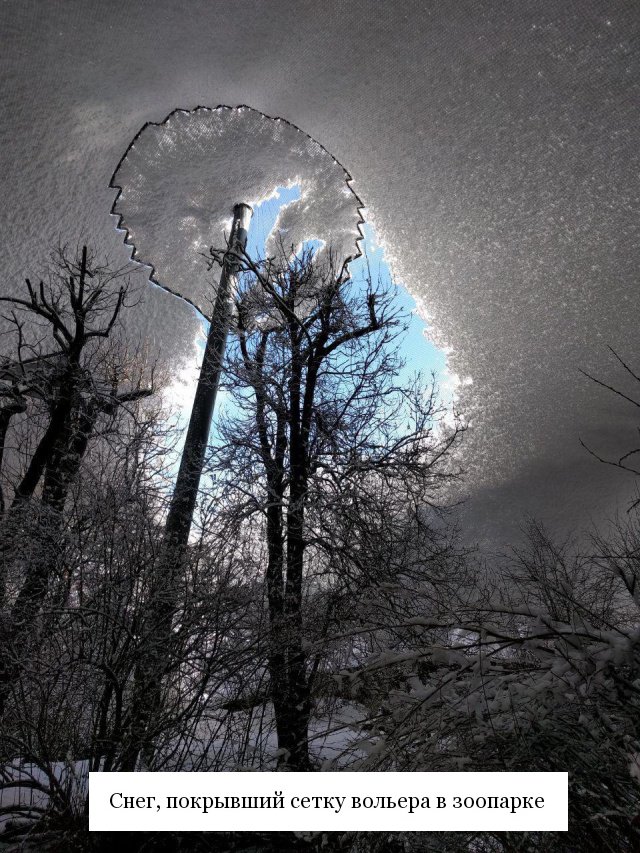 Фотоподборка четверга Фотоподборка четверга