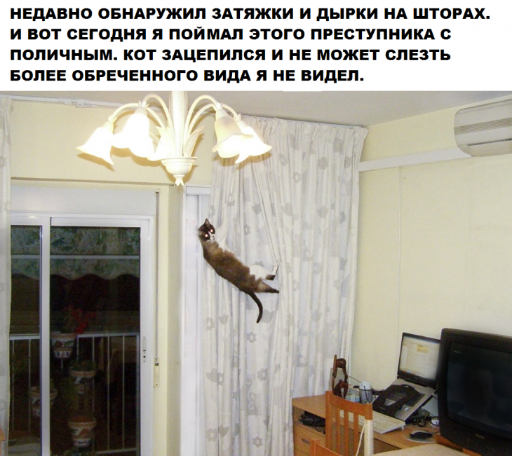 Аморальные мемы Аморальные мемы