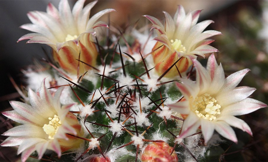 Круговорот добра