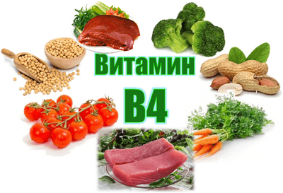 Витамины группы В в продуктах питания для отличной памяти витамины,здоровье,питание,полезные продукты