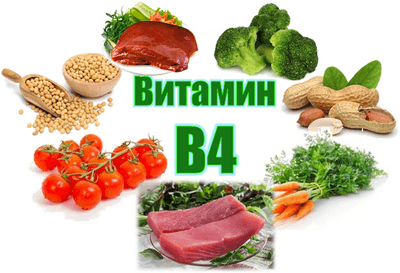 Витамин В4 в продуктах