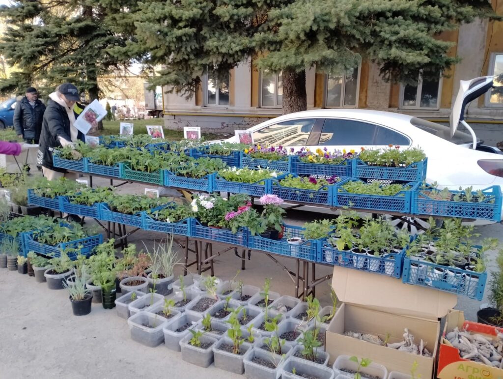 В Рязани 22 апреля открылась тематическая ярмарка «Сад-огород»
