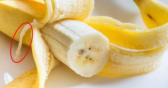 «Банановые веревочки» именуются научным термином с биологическим уклоном. /Фото: kakhacker.ru