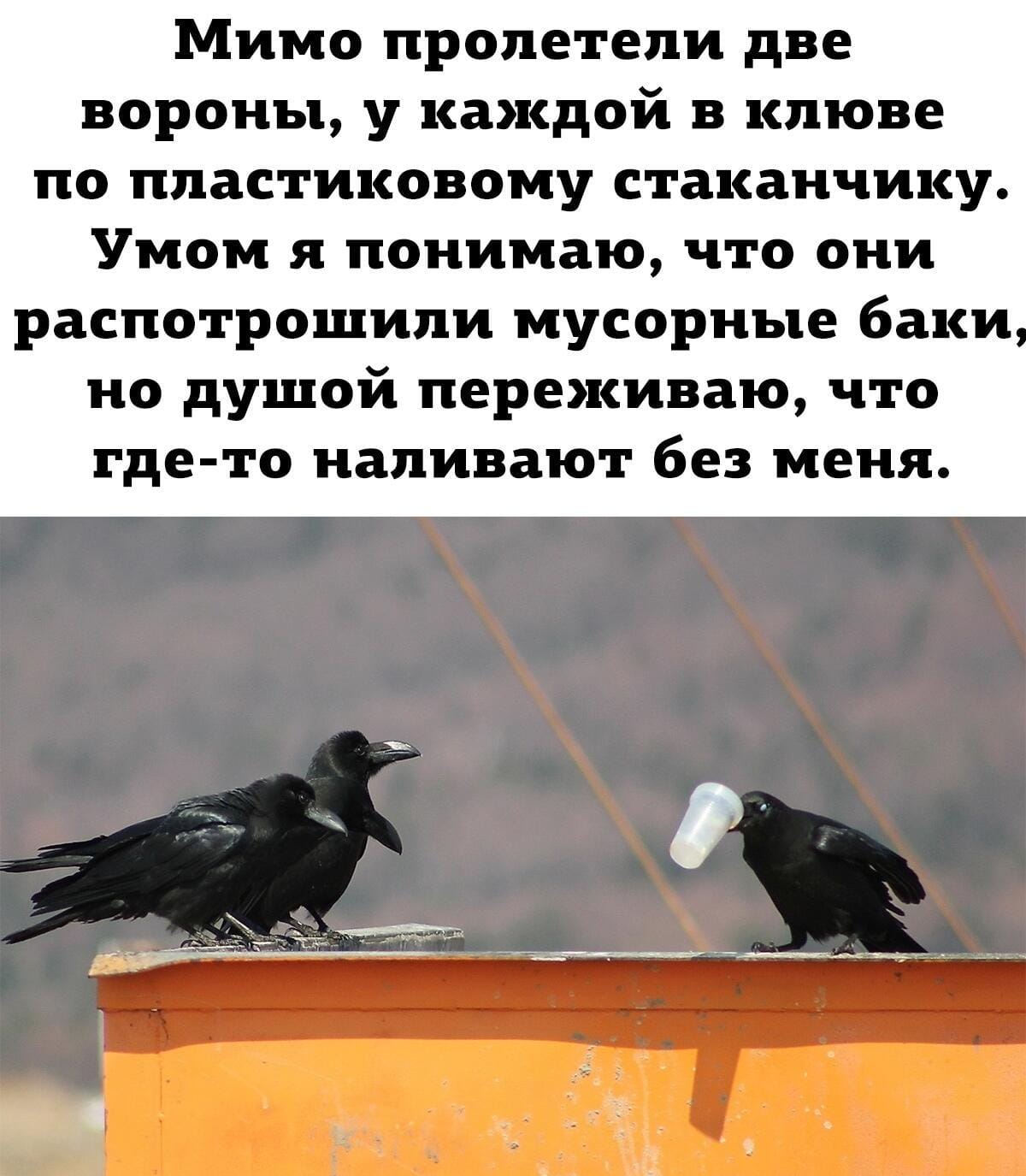 Папа ест конфету, рядом крутится маленький сын... Весёлые,прикольные и забавные фотки и картинки,А так же анекдоты и приятное общение