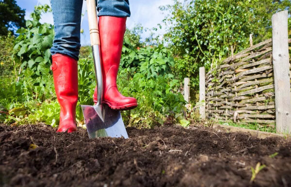 На 2 штыка: перекапываем на совесть