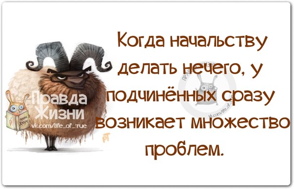 Картинка для хорошего настроения прикольные начальнику, днем рождения текстом