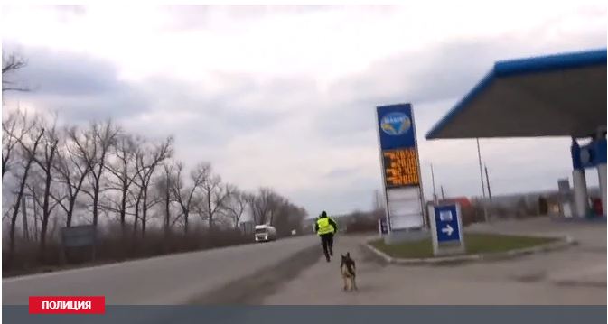 Патрульный съел взятку и бросился наутёк от водителя и собаки