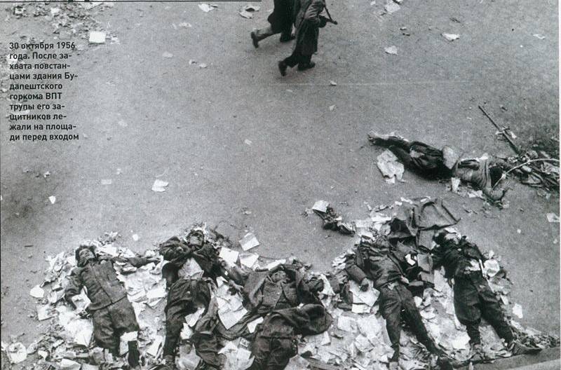 Деяния Никиты-чудотворца. Часть 4. Венгерский гамбит Деяния Никиты-чудотворца. Часть 4. Венгерский гамбит история