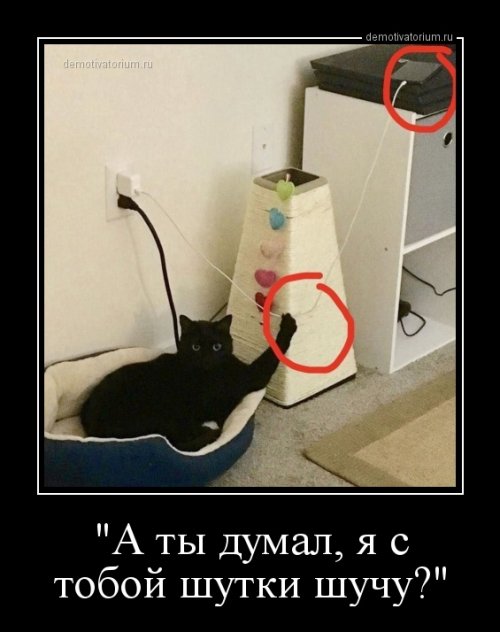 Свежие демотиваторы-приколы Свежие демотиваторы-приколы